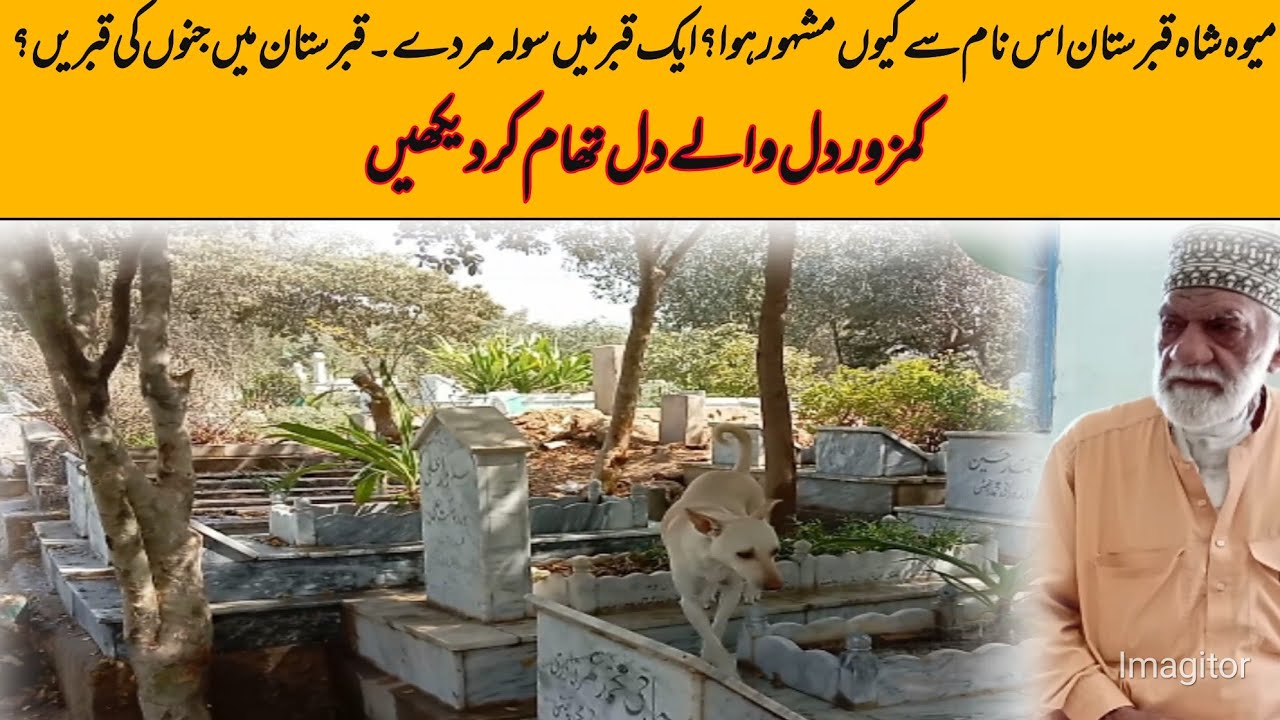Mewa Shah Qabristan| Muhammad Yasir