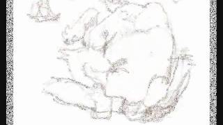 monkey roll screenshot 4