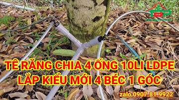 Tê chia 4 béc 1 Góc Kiểu Mới Độc Lạ|| Ống Nước Bảo Phúc Cần Thơ #farming  #tuoitudong