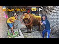 عيشنا يوم فلاحي كامل ركبنا الحمار وحلبنا الجاموسه 