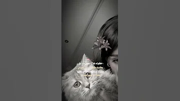 معقوله غيري وصل وتربع بكلبك اكسبلور لايك مالي خلق احط هاشتاقات 
