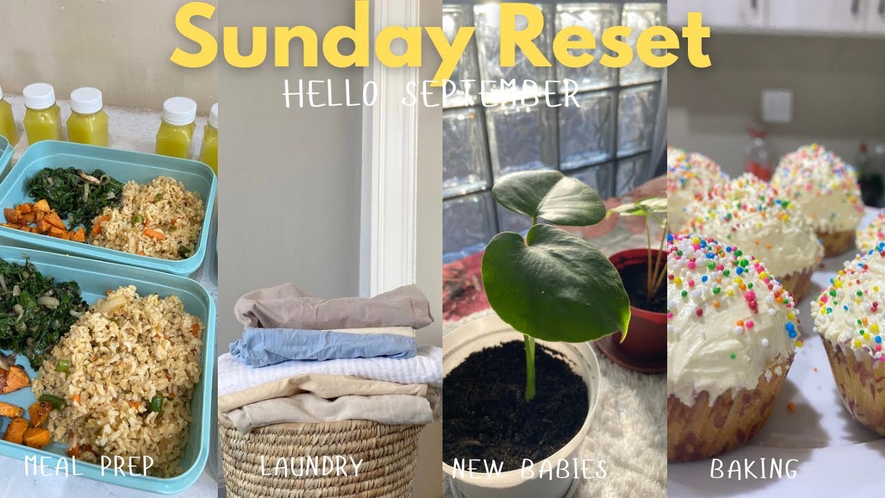 Sunday Reset: Hello September! Meal prep, laundry, baking and I have new plants 🌱 