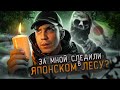 ЗА МНОЙ СЛЕДИЛИ?! ТОТ САМЫЙ ЛЕС В ЯПОНИИ! GhostBuster Аналитика