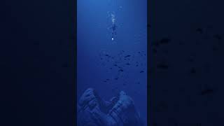 Diving With The The Bloop