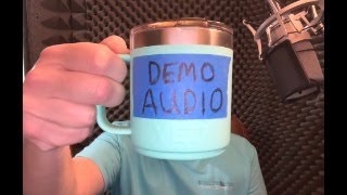 Voice Over 'Demo Audio' vs 'Your Audio'