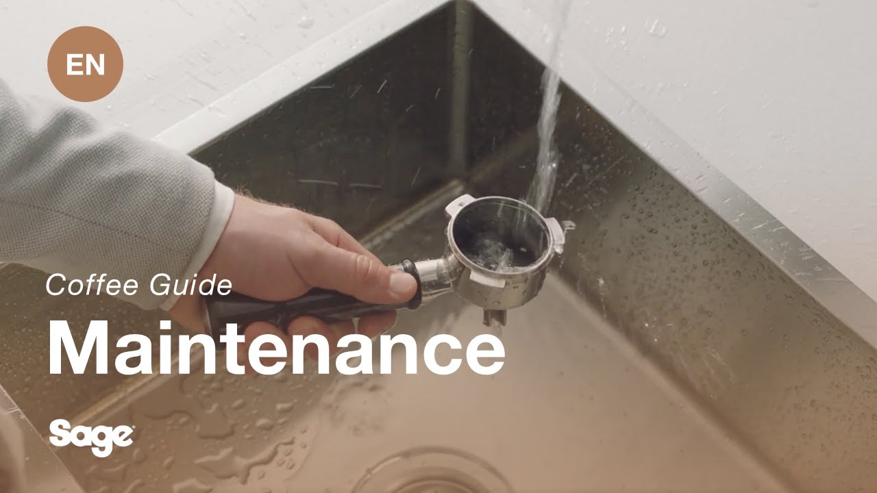 The Bambino® Plus | Your daily cleaning routine: filter basket rinse ...