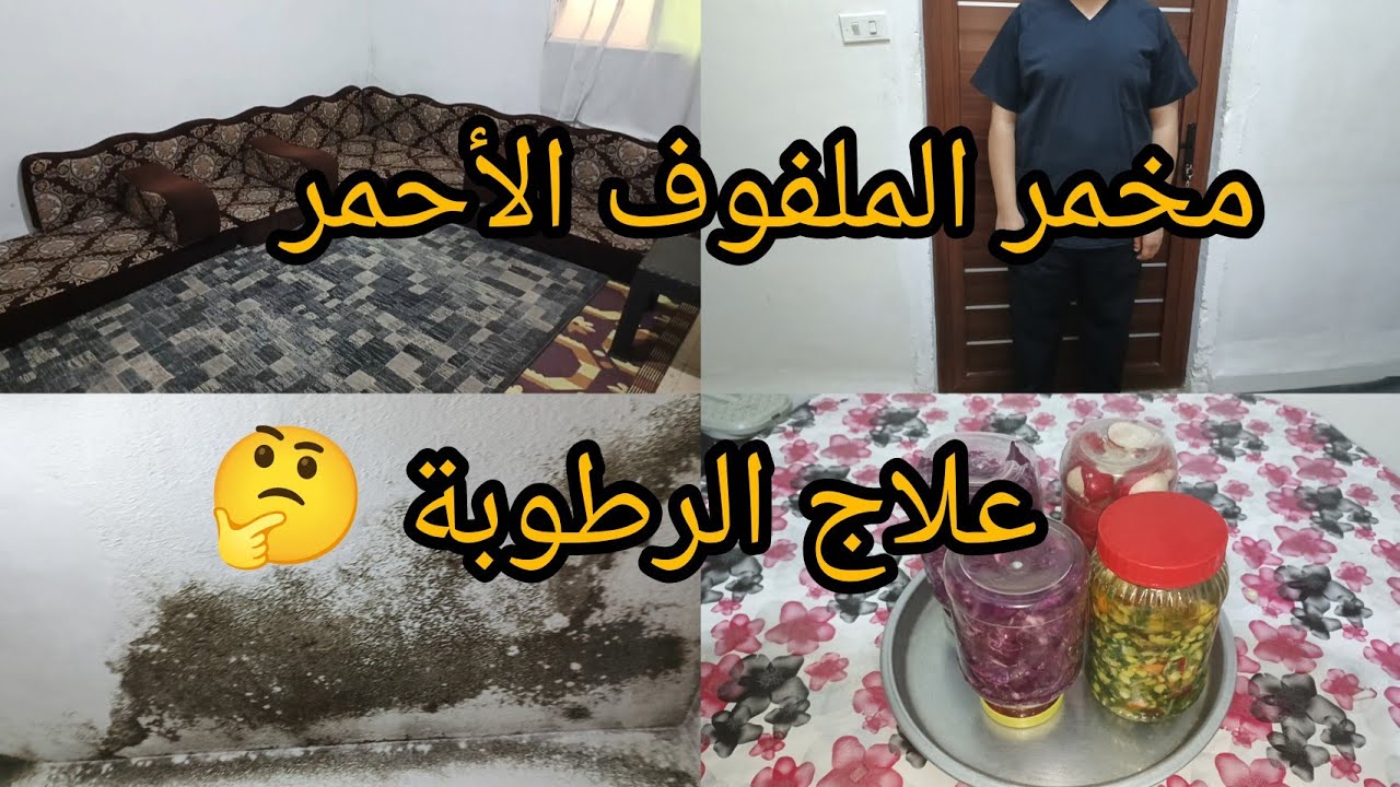 مرض جديد بيهاجم عائلتي بأول يوم رمضان 🌜 مخمر الملفوف وسلطة الزيتون 