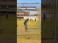 How to play in selection trial shorts cricket trials selection