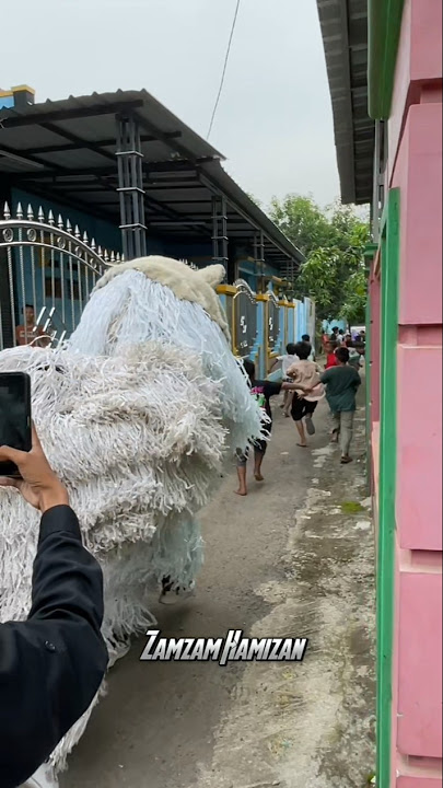 Detik Detik Can Macanan Kejar Bocil FF 😱