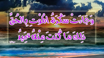 سورة الجن كاملة القارئ ميثم التمار تلاوة مجوده مؤثرة خاشعة مبكية روعة