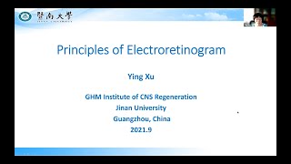 Principles of Electroretinogram from Prof. Ying Xu