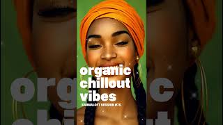 Organic Chill Out Vibes