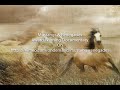 America&#39;s Wild Horses Call To Action!