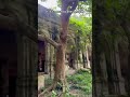 An Abandoned Royal Palace Built In 1890 History Shortvideo Ytshorts Yt Trending 