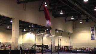 Jordan King - Parallel Bars - 2016 Winter Cup Prelims