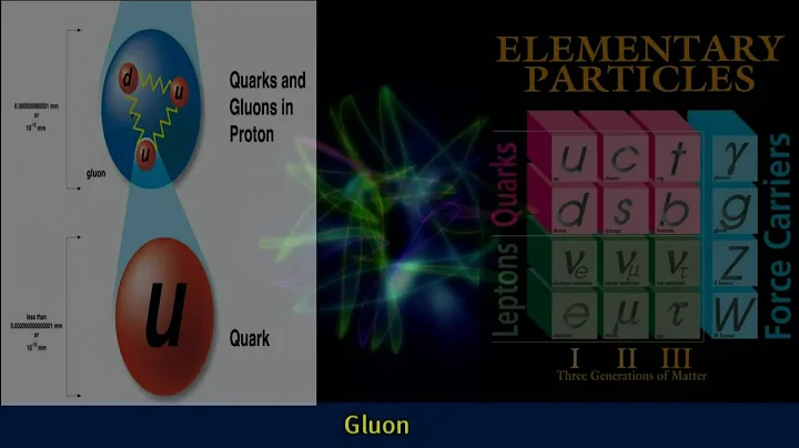 Gluons | Standard Model Of Particle Physics