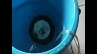 overpowering speaker underwater @TonnyCassidy