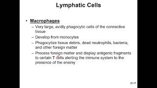 Chapter 21 The Lymphatic and Immune System Micro Lecture 1 Introduction and Lymphatic system Chapter 21 Part 1 Lymphatics