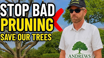 Bad Pruning Hurts Trees - Do This Instead 