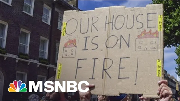Kathy Baughman McLeon On Burning Fossil Fuels: 'We...