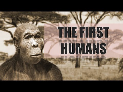 The First Humans | Homo Habilis