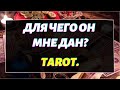 ДЛЯ ЧЕГО ОН МНЕ ДАН? Гадание онлайн на картах Таро. Tarot.