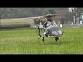 Flight Review - RC Airwolf with 5 blades main rotor head