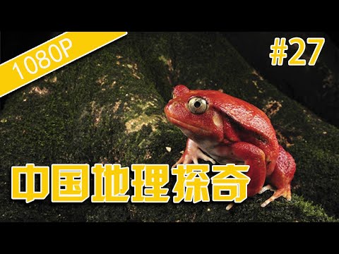 纪录片 出路 中国地理探奇27-解迷洞底红娃-HD高清完整版