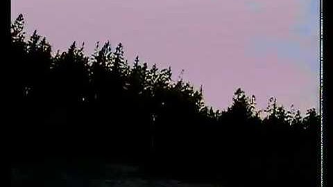 Wizard X220 - Betaflight 3.5.1 - ev200d - FPV - First flight.