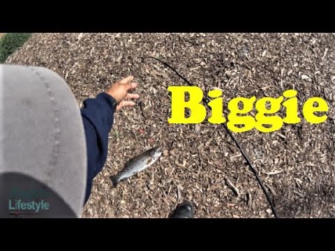 Catching Biggies At Sandy Wool Again - YouTube