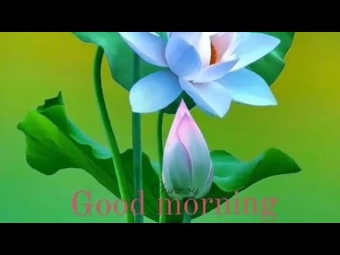 Dolly Rani is live 11 December - YouTube