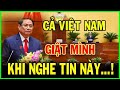 Tin tức Việt Nam mới nhất ngày 10/1/2026I Tin Nóng Chính Trị Việt Nam và Thế Giới✈ #THỜI SỰ