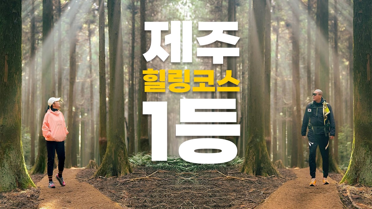 지친 당신에게 건네는 숲 처방전 | 제주 사려니숲길