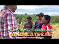 Benditos los OAXAQUEÑOS y GUERRERENSES que vienen a cosechar en Zacatecas
