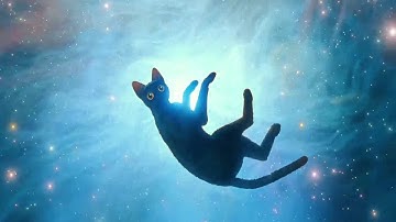 Flow movie - Secretarybird Scene