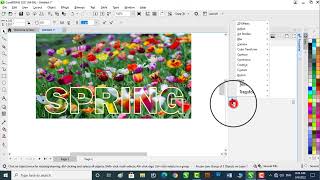Spring Banner Design