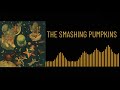 The Smashing Pumpkins Bullet With Butterfly Wings