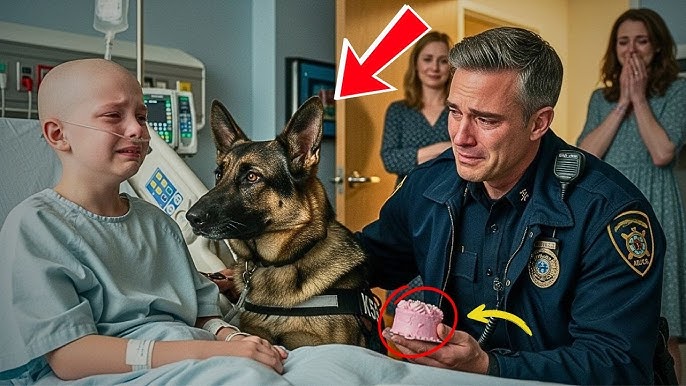 Officer's Mute Daughter Took a Bite From a Stray Dog's Bread —Then She  Finally Spoke a Shocking Word - YouTube