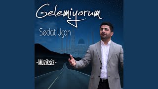 Gelemiyorum (Müziksiz) — Sedat Uçan kapak görseli