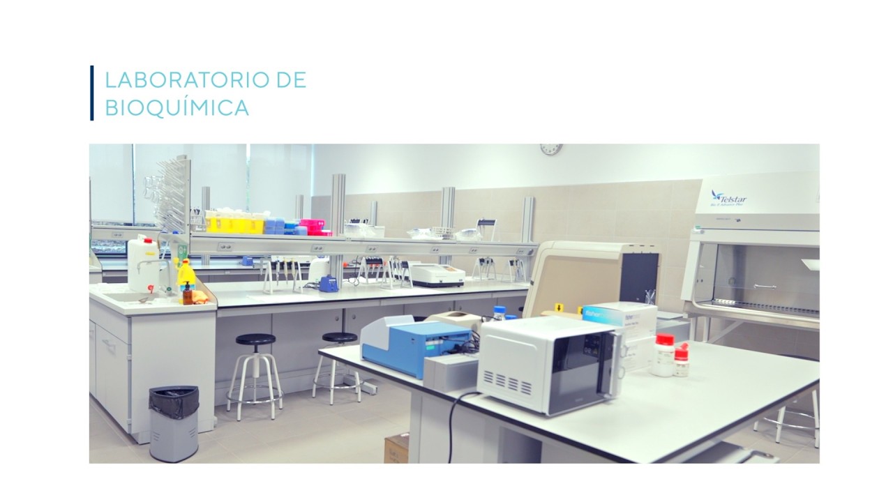 LOYOLA ESPACIO A ESPACIO: LABORATORIO DE BIOQUÍMICA