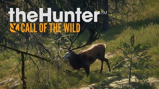 The Hunter COTW Мои лучшие трофеи #3