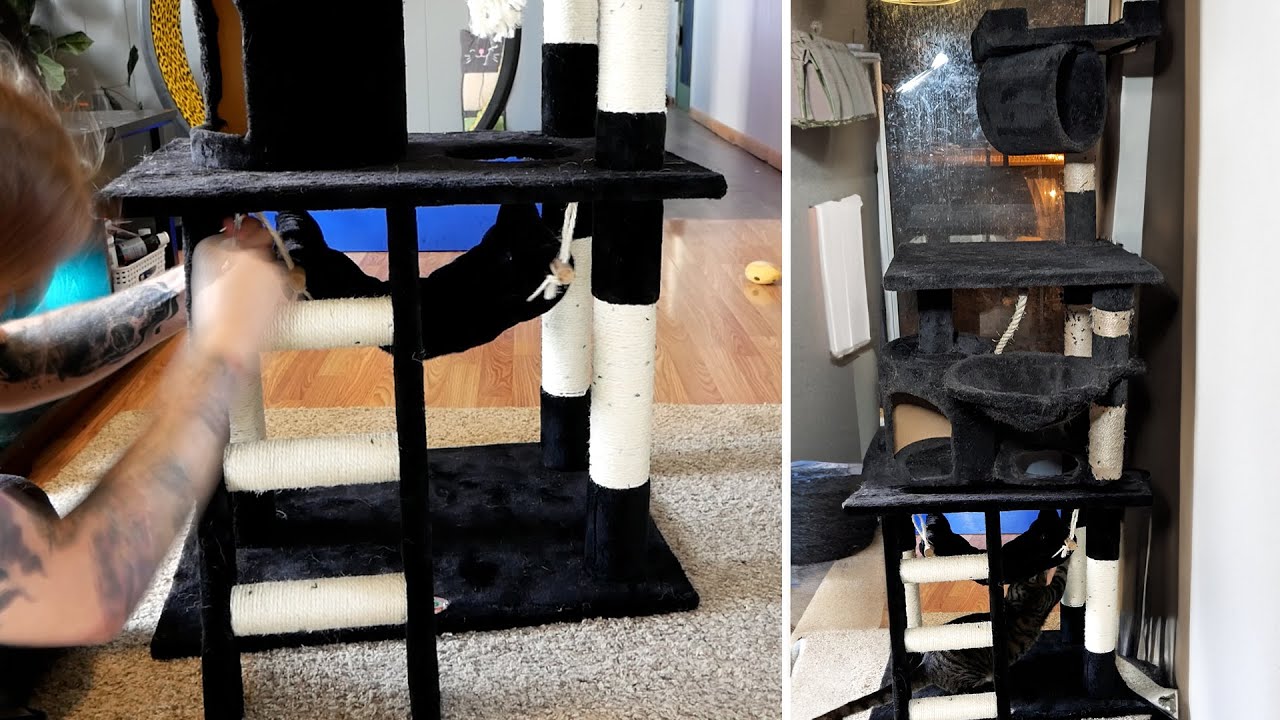 Go Pet Club - 62" Tall Cat Tree: Setup & Review