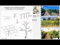 HistoryTraining System VINIFERA Alain Deloire part 1 03052020 Audio