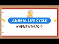 PSLE Science: Butterfly Life Cycle Quiz