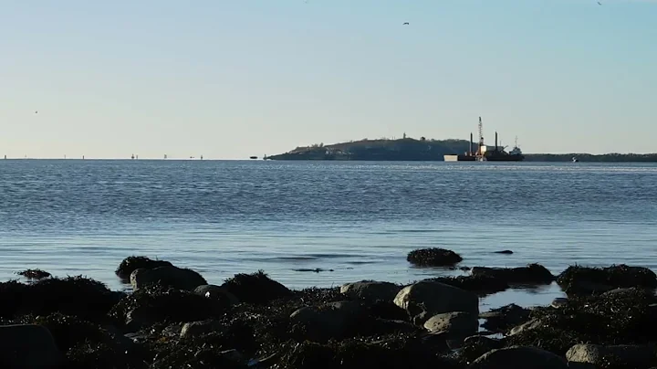 Harbor film shout for channel: https://www.yout......