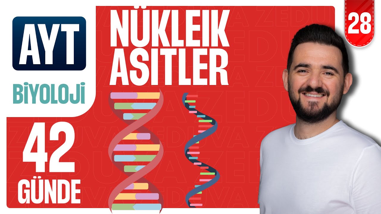 Nükleik Asitler, Replikasyon -Soru Çözümü | 42 GÜNDE AYRINTILI AYT BİYOLOJİ KAMPI 2026-2027 | 28.GÜN