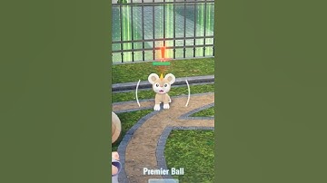 Shiny Hunt While AFK on Pokémon Legends ZA