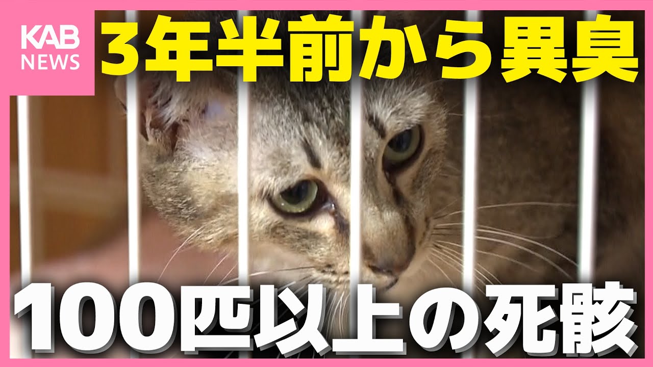 糞尿まみれで胃は空っぽ…100匹以上のネコの死骸　保護活動していた女性宅で何が