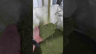 The BioMaster from Hemp Processing Solutions