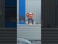 You never know who or what is looking at you.